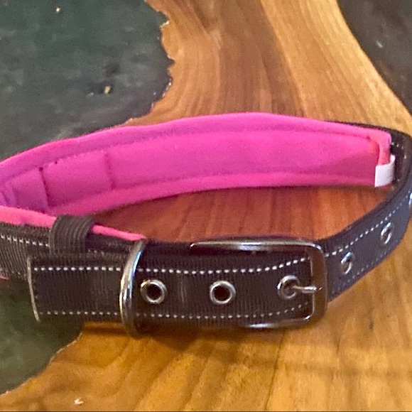 NWOT Black Rhino dog collar. Size Medium. Black and Pink color. - Picture 7 of 9